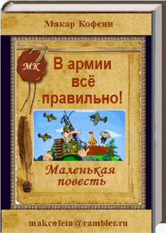 Обложка книги В армии всё правильно!