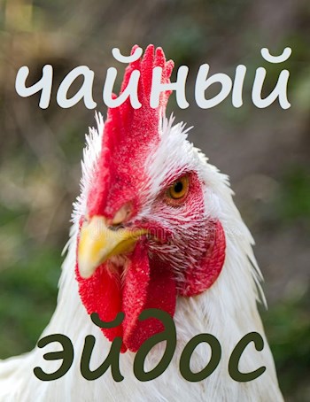 Обложка книги Чайный эйдос