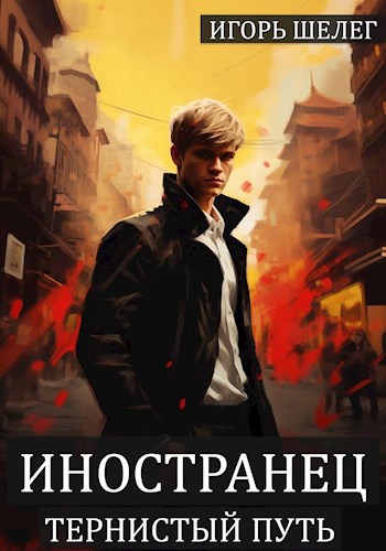 Обложка книги Иностранец 5 Тернистый путь