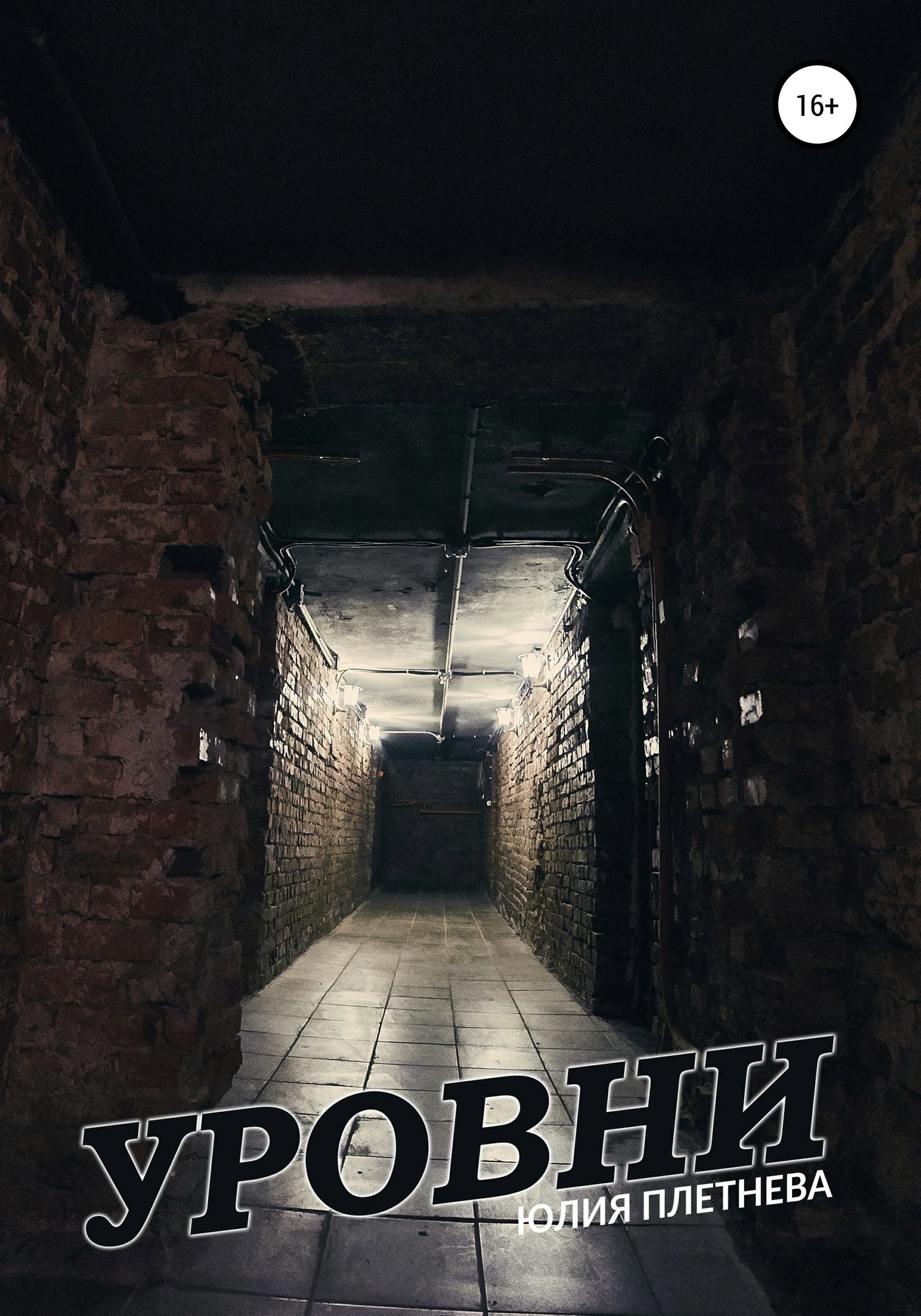 Обложка книги Уровни