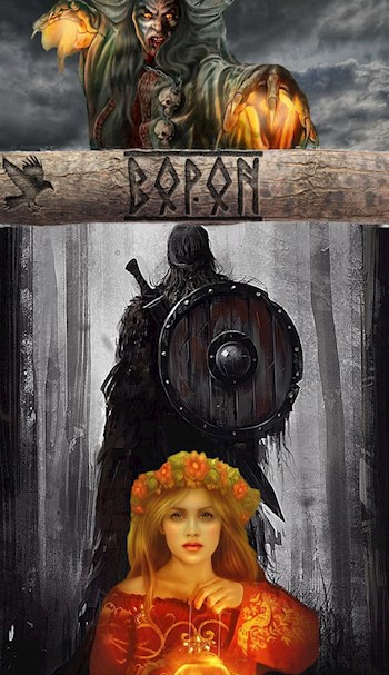 Обложка книги Ворон