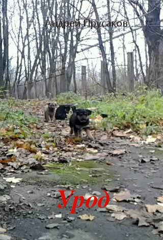 Обложка книги Урод