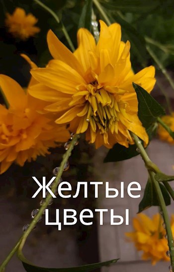 Обложка книги Желтые цветы
