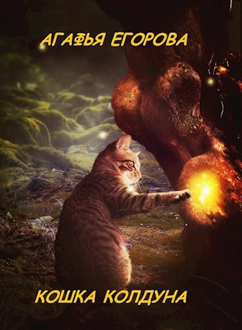Обложка книги Кошка колдуна