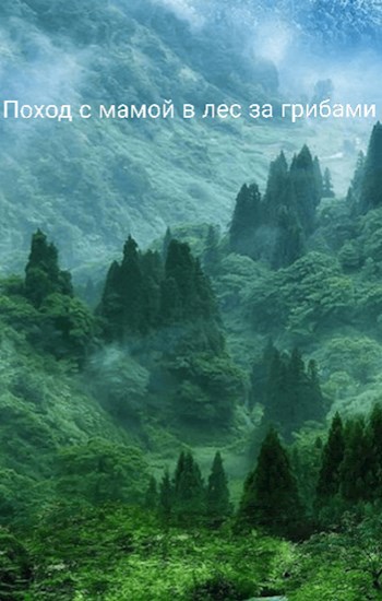 Обложка книги Поход с мамой в лес за грибами