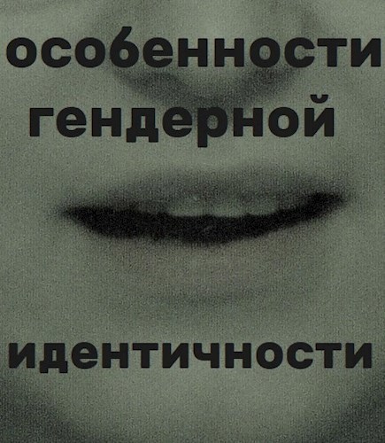 Обложка книги Особенности гендерной идентичности