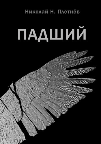 Обложка книги Падший
