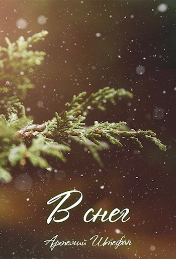 Обложка книги В снег