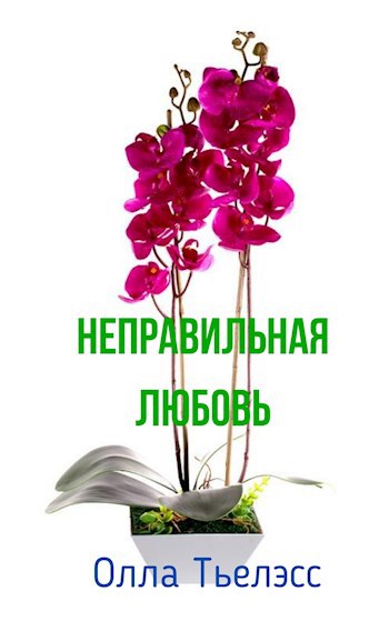 Обложка книги Неправильная любовь