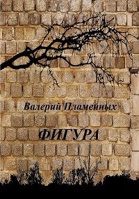 Обложка книги Фигура