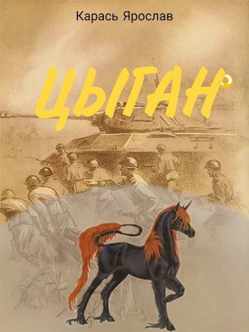 Обложка книги Цыган