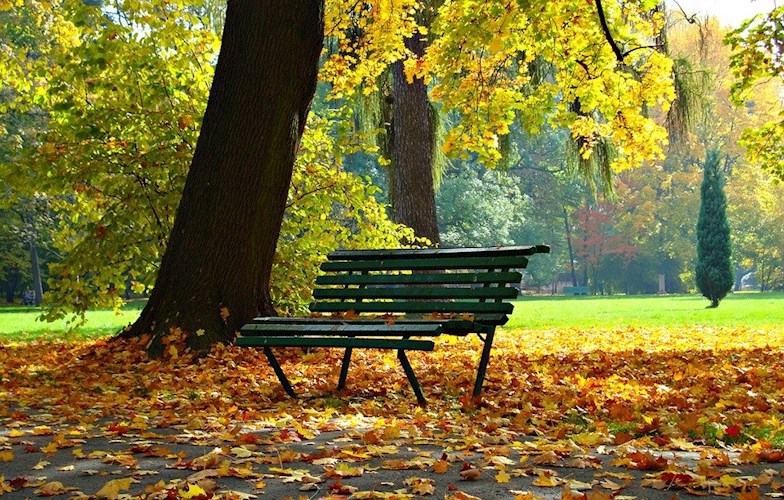 Обложка книги Пустые страницы