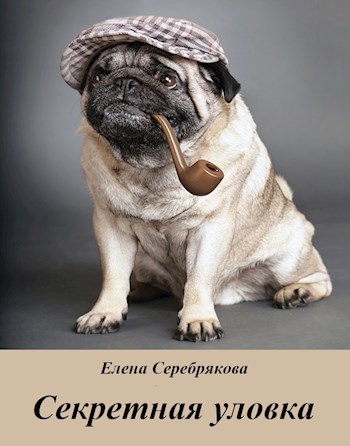Обложка книги Секретная уловка