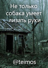 Обложка книги Не только собака умеет лизать руки