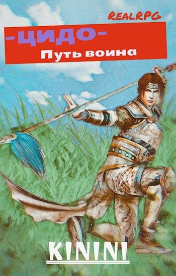 Обложка книги ЦиДо путь воина.