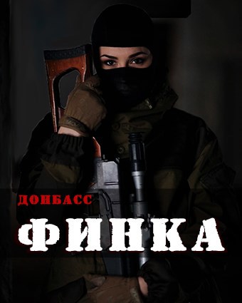 Обложка книги Финка