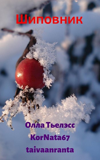 Обложка книги Шиповник