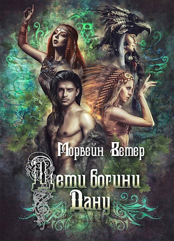 Обложка книги Дети богини Дану