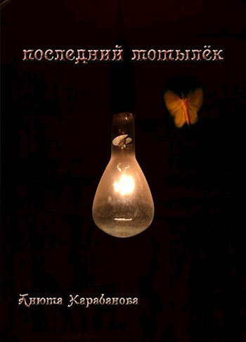 Обложка книги Последний мотылёк