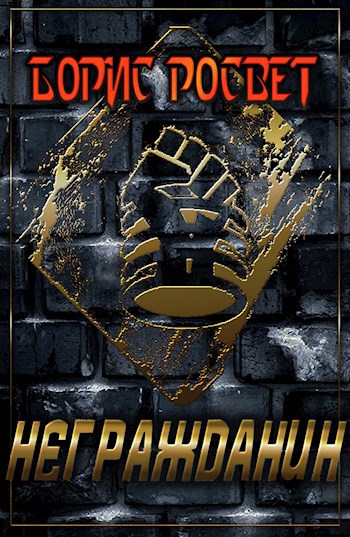 Обложка книги Негражданин