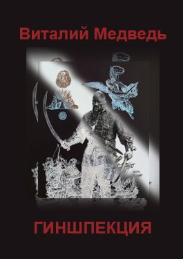 Обложка книги Гиншпекция