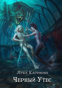 Обложка книги Черный утес