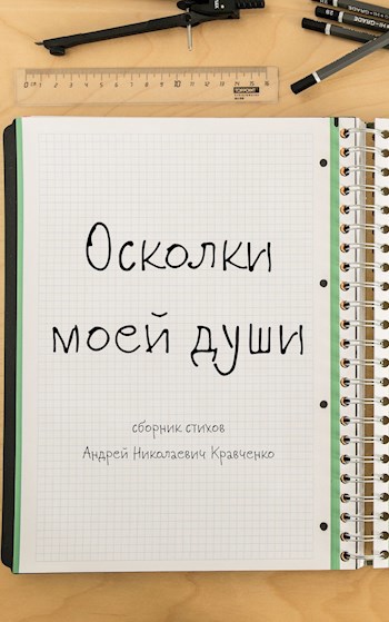 Обложка книги Осколки моей души