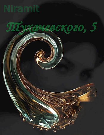 Обложка книги Тухачевского, 5