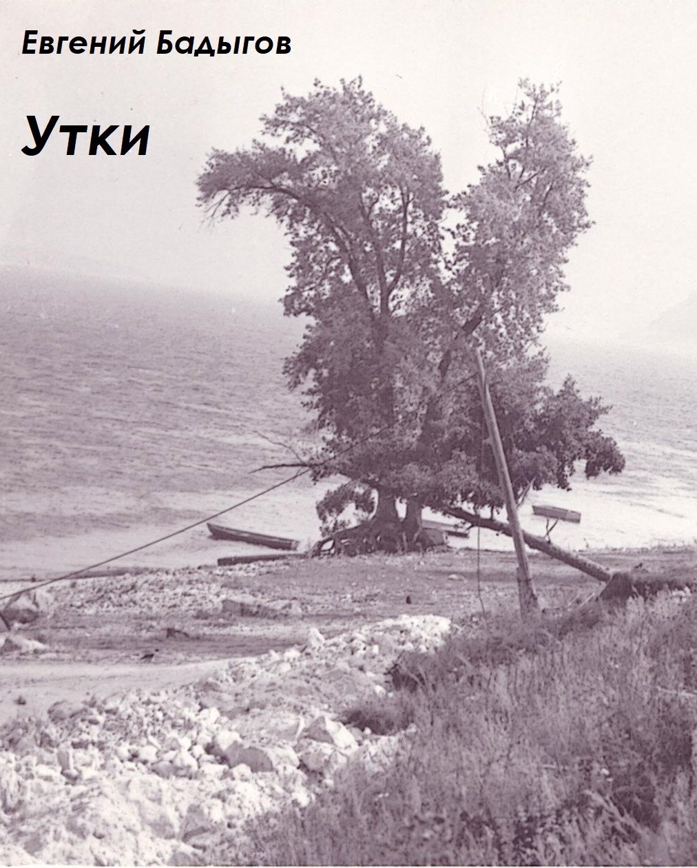 Обложка книги Утки