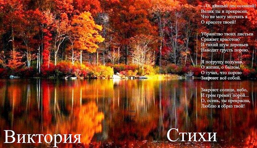 Обложка книги Стихи