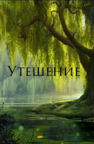 Обложка книги Утешение