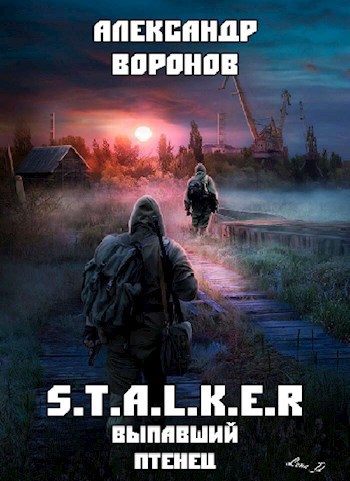 Обложка книги S.T.A.L.K.E.R.: Выпавший птенец