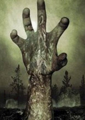 Обложка книги Воскрешая любимого