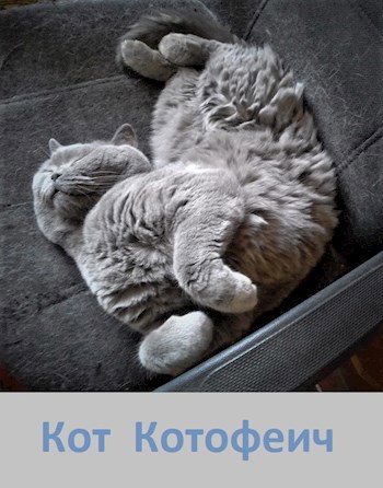 Обложка книги Кот Котофеич