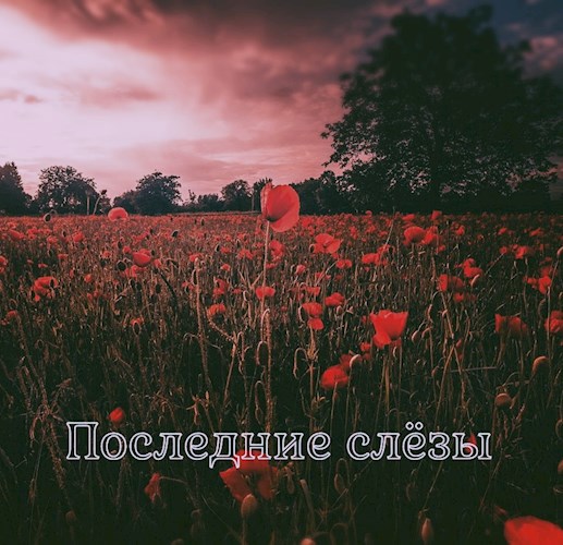 Обложка книги Последние слёзы