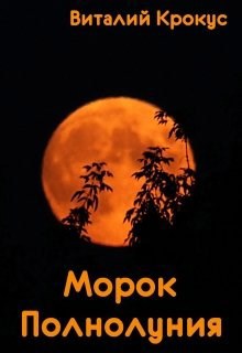 Обложка книги Морок Полнолуния