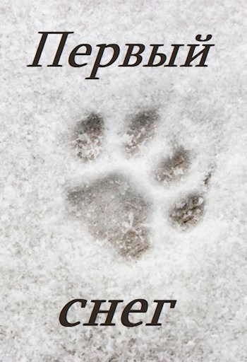 Обложка книги Первый снег