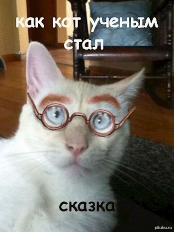 Обложка книги Как кот ученым стал