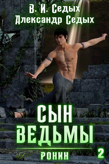 Обложка книги Ронин