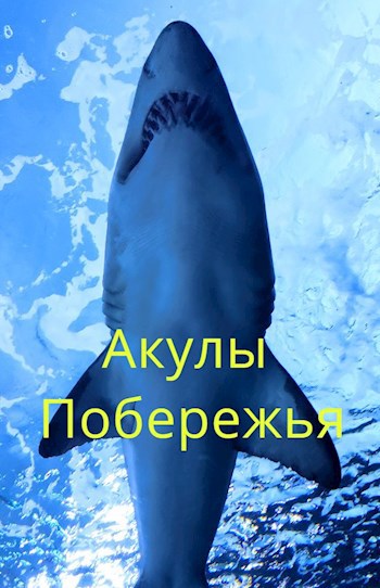 Обложка книги Акулы Побережья