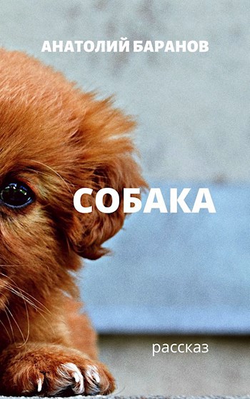 Обложка книги Собака