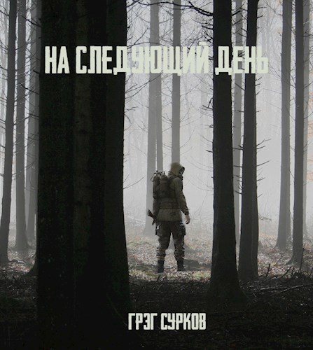 Обложка книги На следующий день
