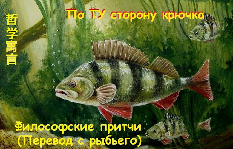 Обложка книги По ту сторону крючка
