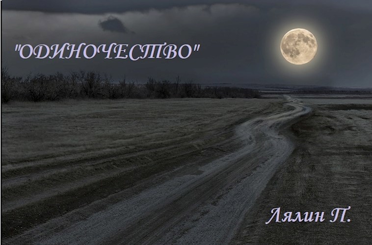 Обложка книги Одиночество в... степи