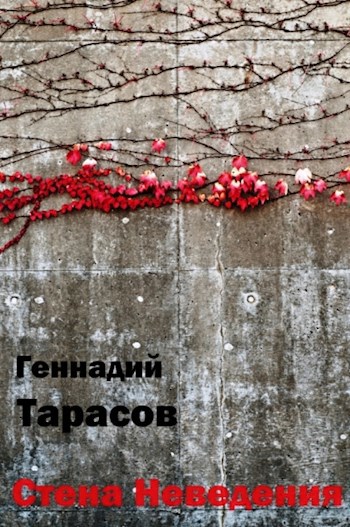 Обложка книги Стена неведения