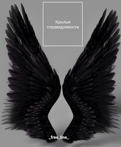 Обложка книги Крылья справедливости