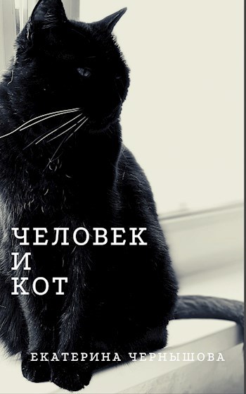 Обложка книги Человек и Кот