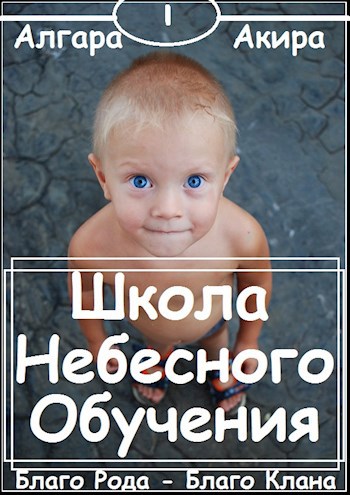 Обложка книги Школа "Небесного" Обучения