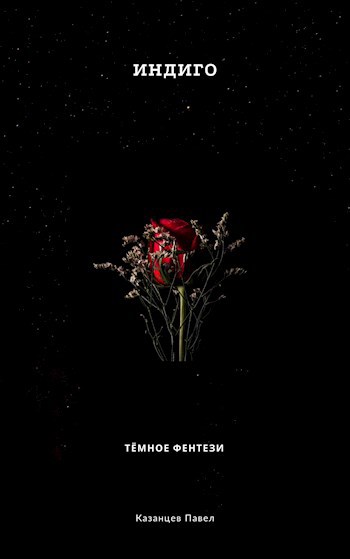 Обложка книги Индиго
