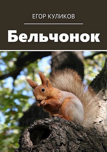 Обложка книги Бельчонок